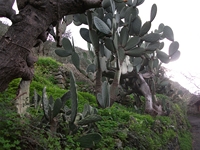 cantara gurne23122011 053